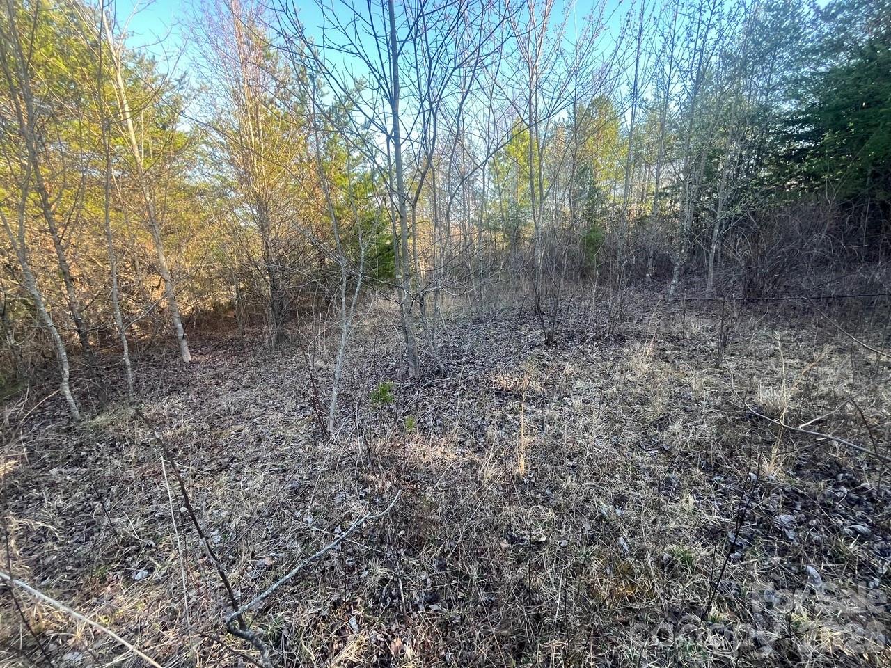 Tbd Southern Way Nebo, NC 28761 - Photo 12 of 22