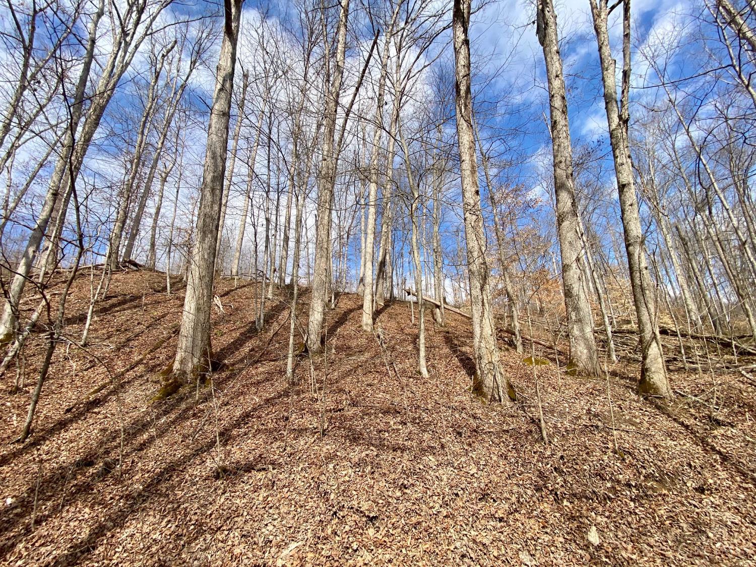 Ac Beech Fork Road Peebles, OH 45660 - Photo 11 of 49