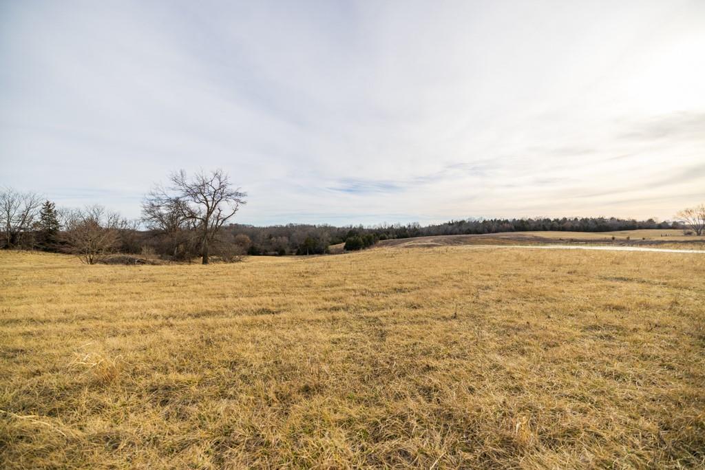 Southeast Tract C 400th Road Warrensburg, MO 64093 - Photo 29 of 42