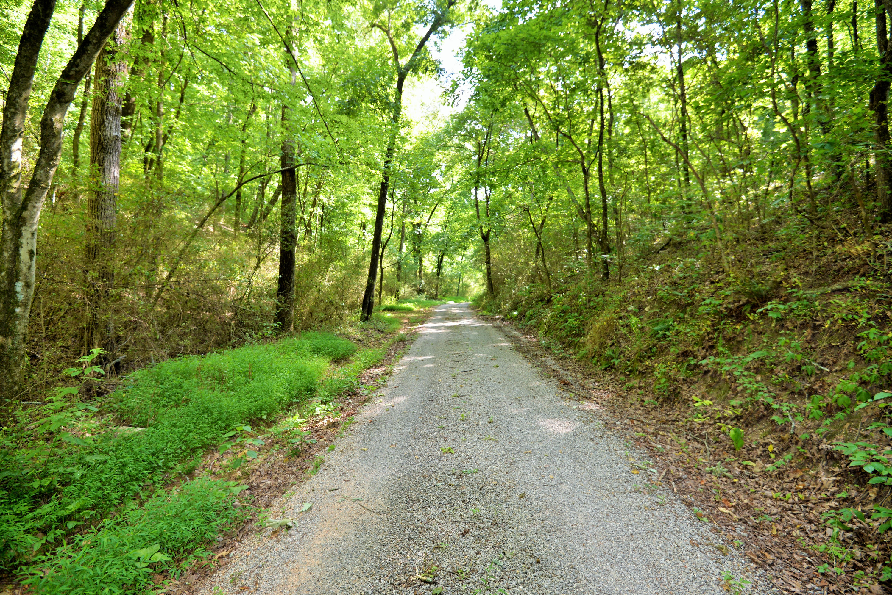 0 Foster Hixson Cemetery Road, Unit LOT 9 Hixson, TN 37343 - Photo 4 of 13 Neighborhood private drive