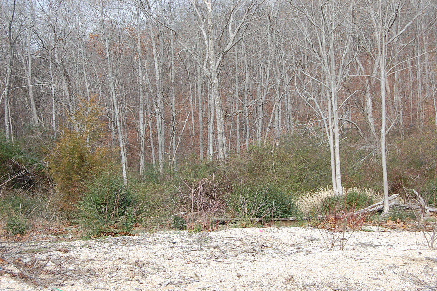 0 Foster Hixson Cemetery Road, Unit LOT 9 Hixson, TN 37343 - Photo 10 of 13 DSC_0013