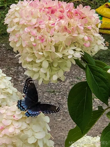 $829,900 | 4566 Lakeview Drive, Shelby, MI 49455