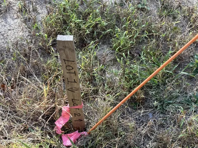 a bird view of a house with a tree