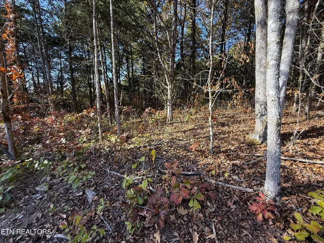 a black and white photo of a floor plan