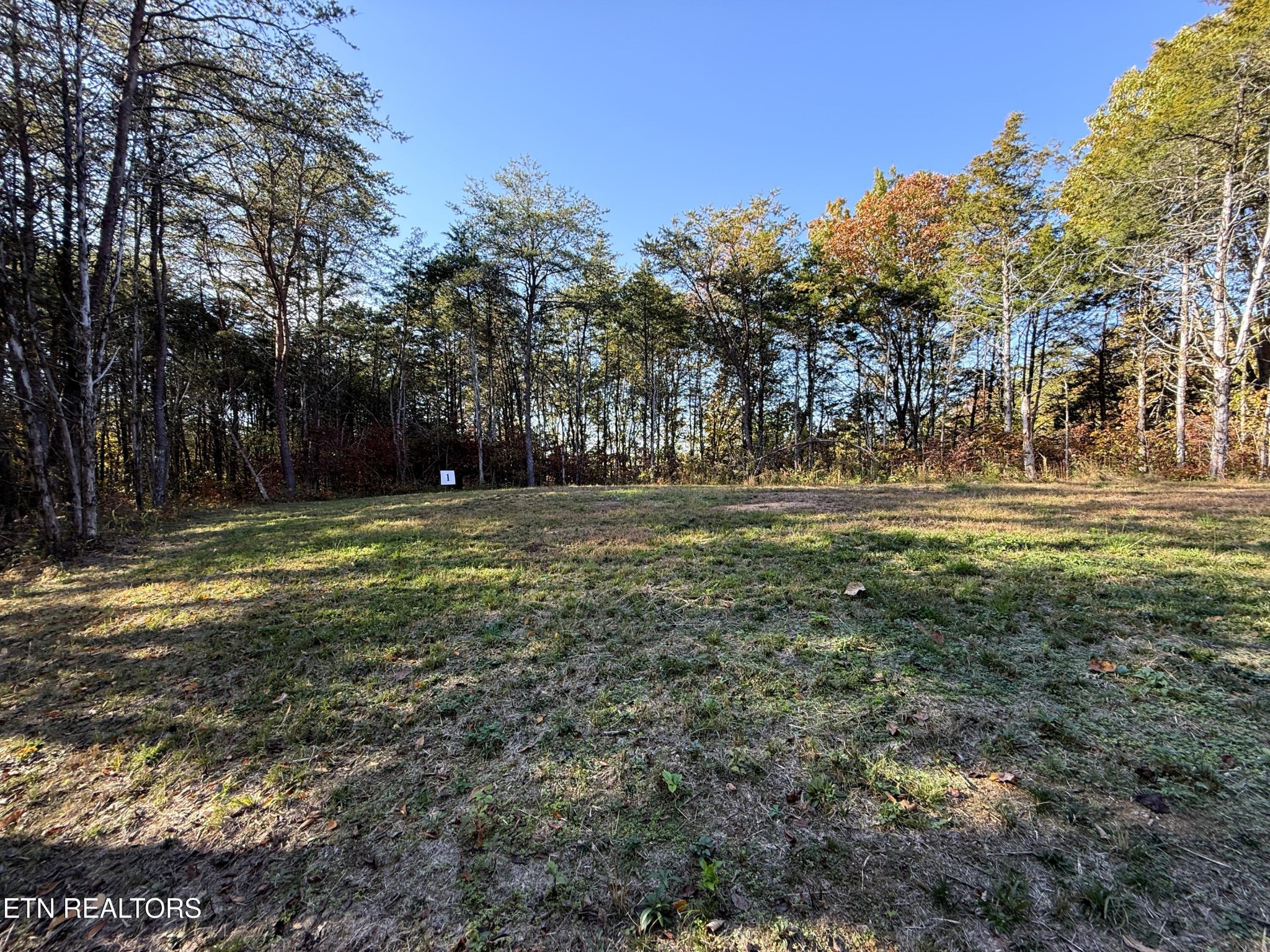 13 Topaz Way Parrottsville, TN 37843 - Photo 4 of 23 a view of a field with trees in the background