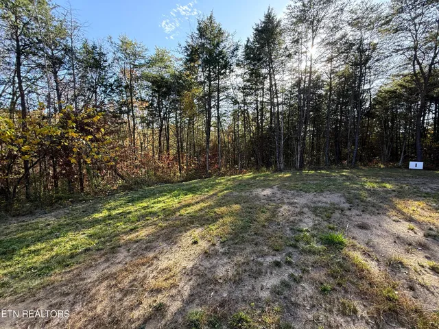a view of outdoor space with trees all around
