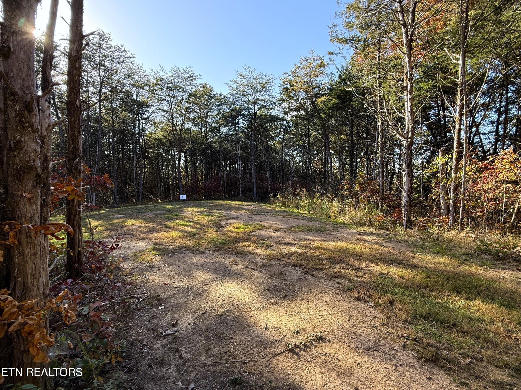 13 Topaz Way Parrottsville, TN 37843 - Photo 7 of 23 a view of outdoor space with trees