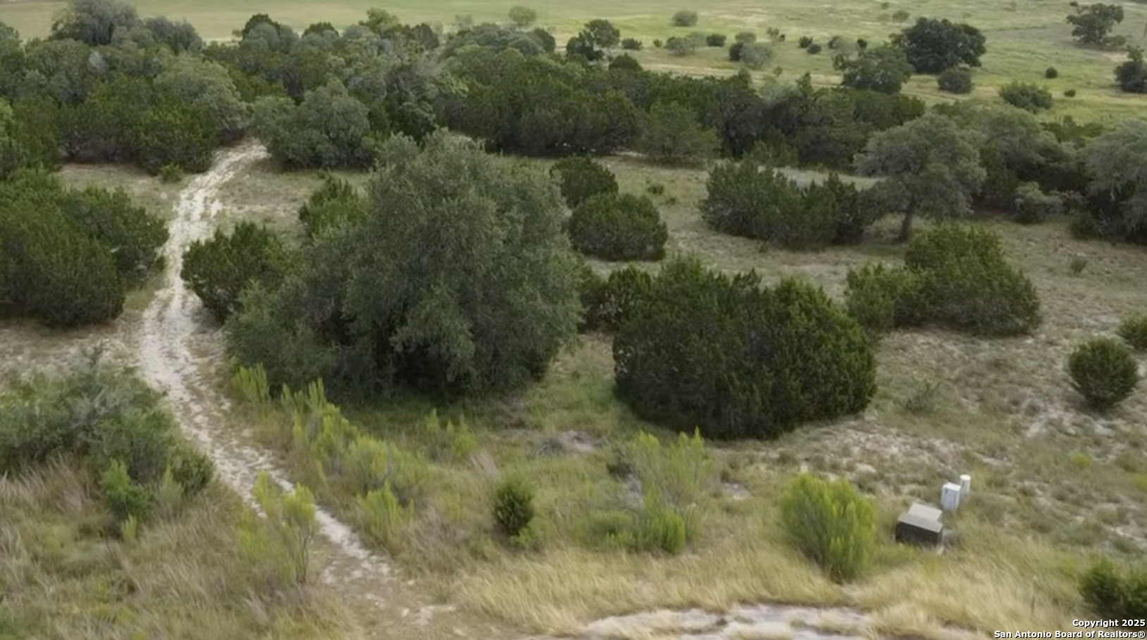 513 Gray Fox Spring Branch, TX 78070 - Photo 12 of 20 a view of a forest with a street