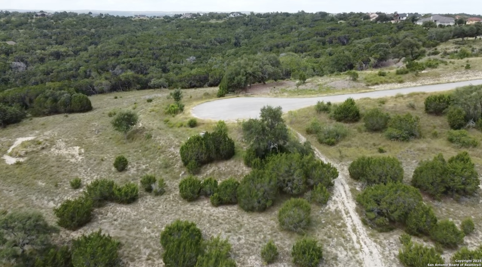 513 Gray Fox Spring Branch, TX 78070 - Photo 15 of 20 a view of a forest with a sink