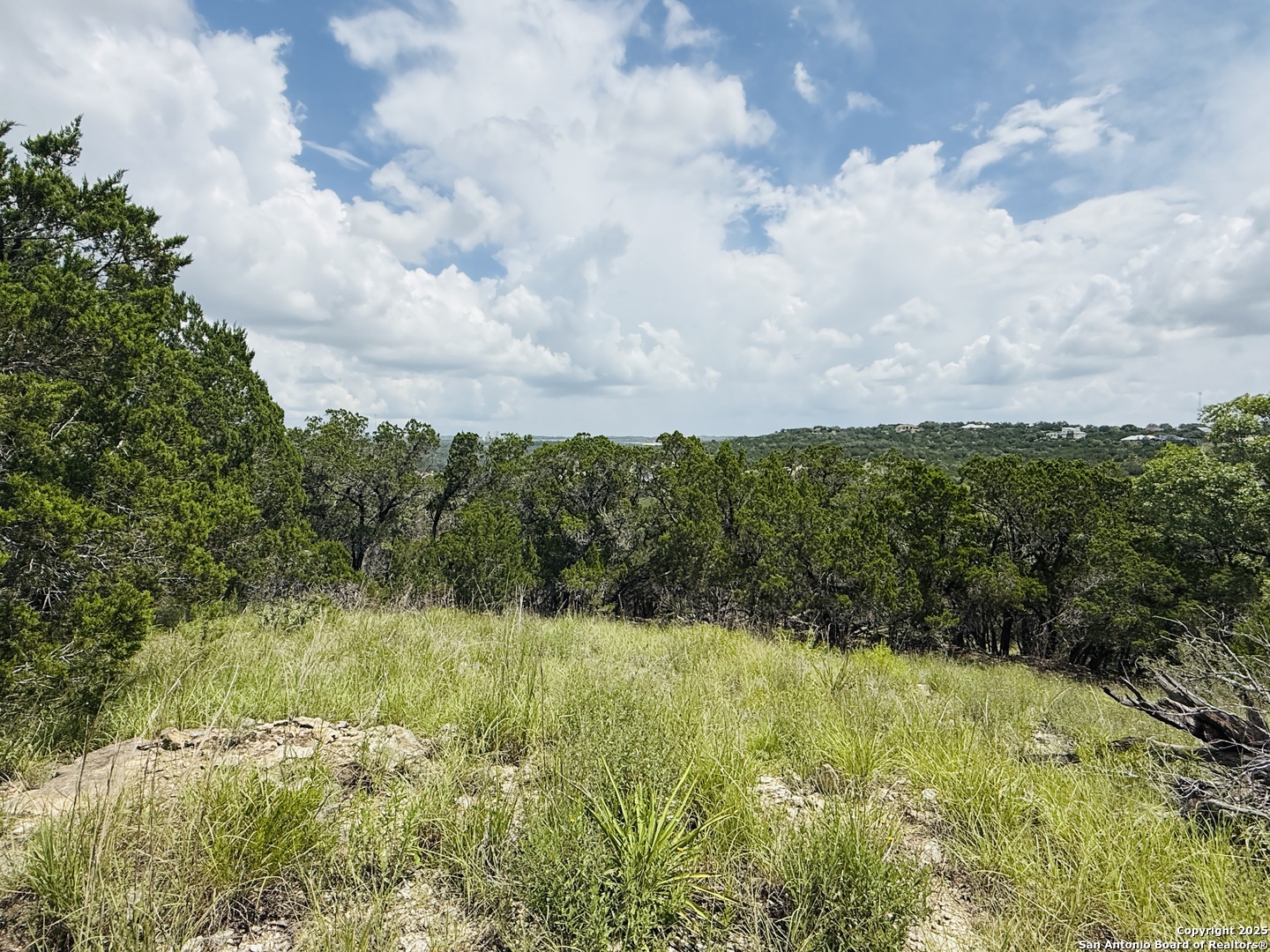 513 Gray Fox Spring Branch, TX 78070 - Photo 6 of 20 a view of outdoor space and green space