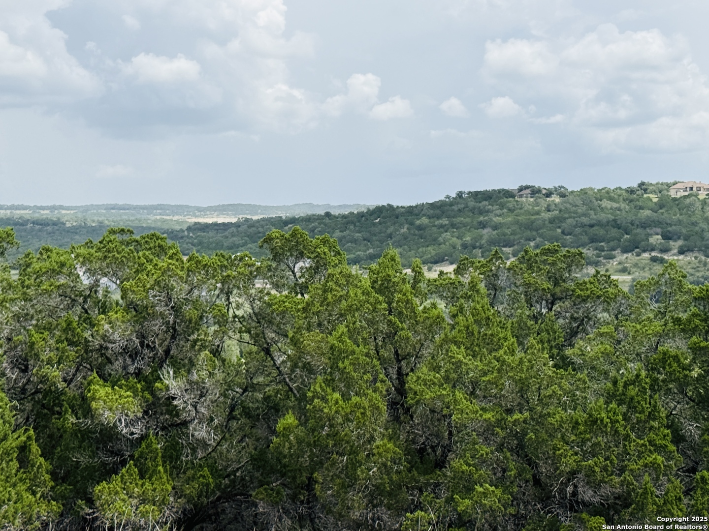 513 Gray Fox Spring Branch, TX 78070 - Photo 7 of 20 an aerial view of houses covered in trees
