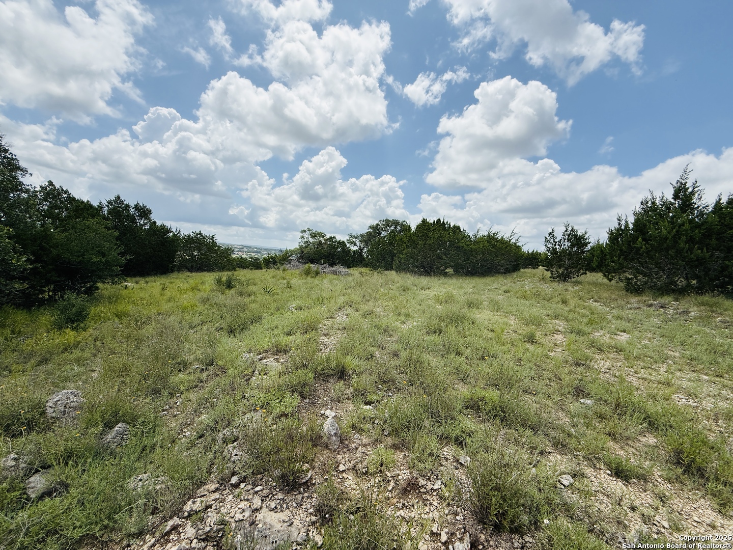 513 Gray Fox Spring Branch, TX 78070 - Photo 9 of 20 a view of a lake with houses in the back