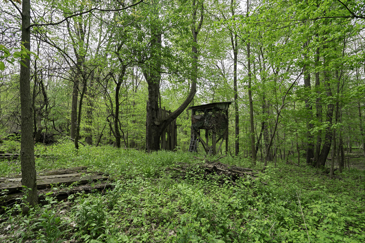 8869 Bever Road Delton, MI 49046 - Photo 58 of 74 WM8869bever-12