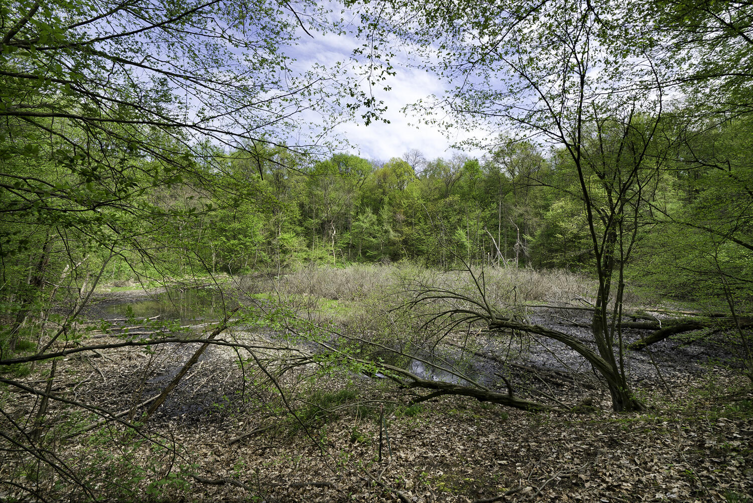 8869 Bever Road Delton, MI 49046 - Photo 59 of 74 WM8869bever-11