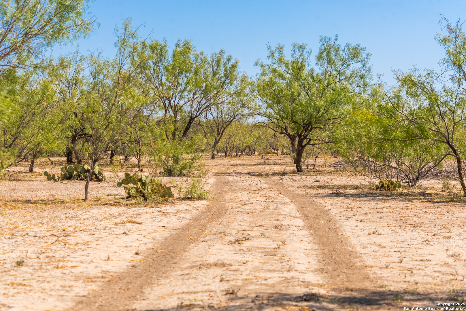 2133 Lausen Road Del Rio, TX 78840 - Photo 46 of 49