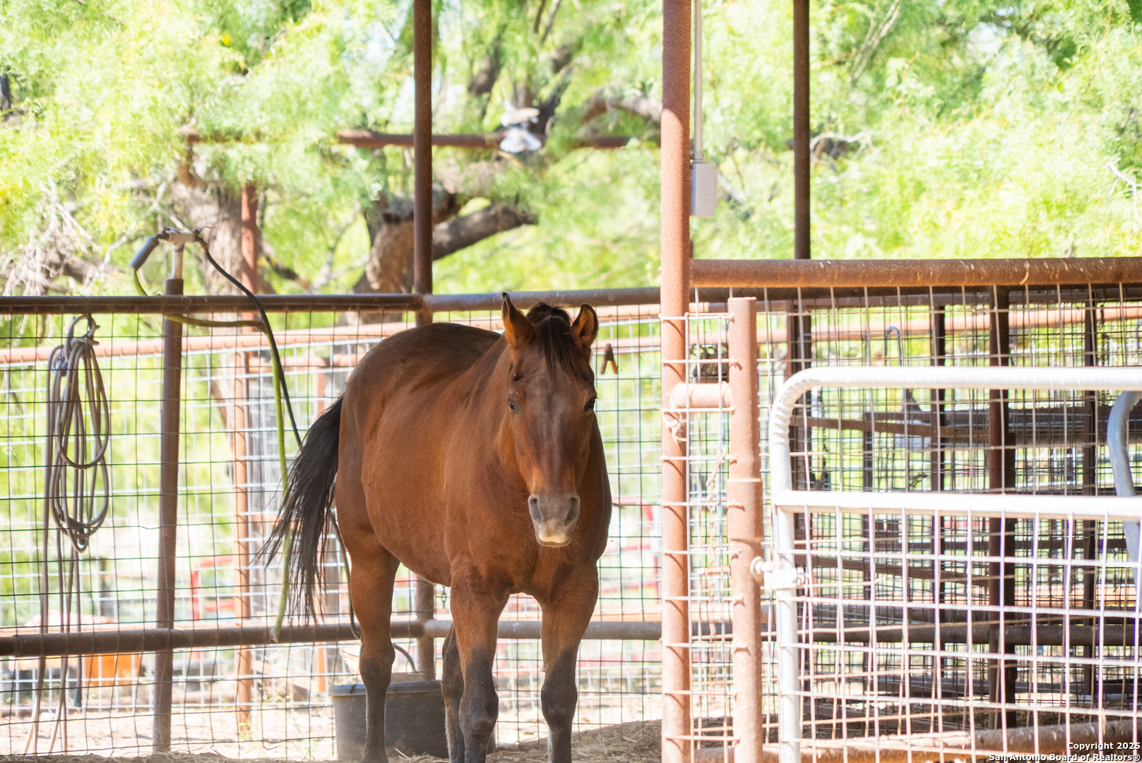 2133 Lausen Road Del Rio, TX 78840 - Photo 47 of 49