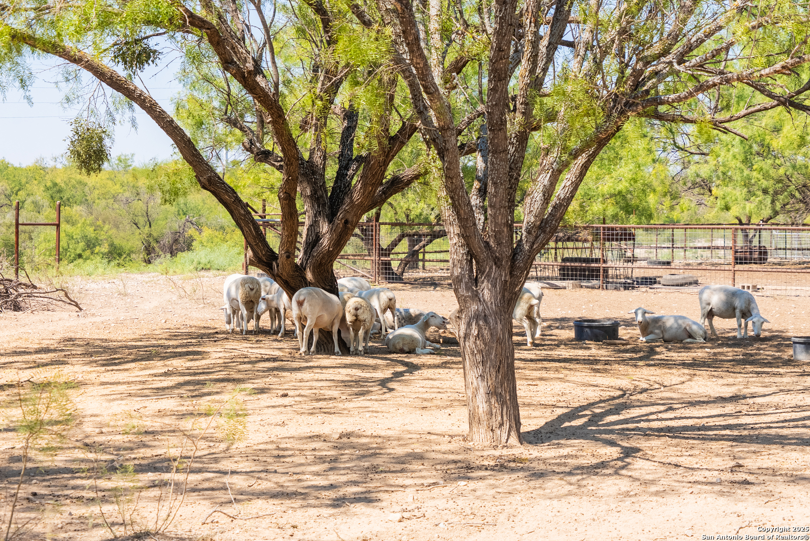 2133 Lausen Road Del Rio, TX 78840 - Photo 49 of 49