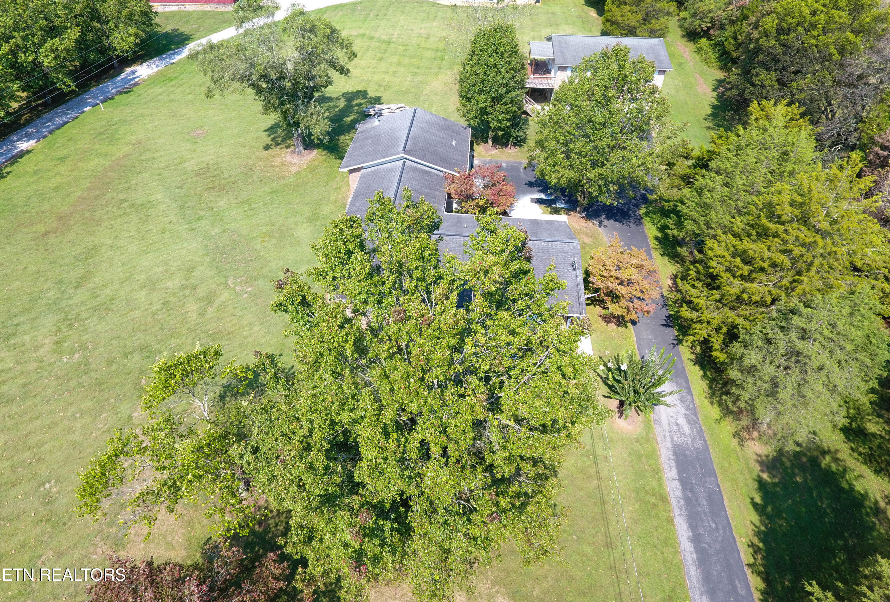 319 Tater Valley Road Luttrell, TN 37779 - Photo 3 of 51 DJI_0093