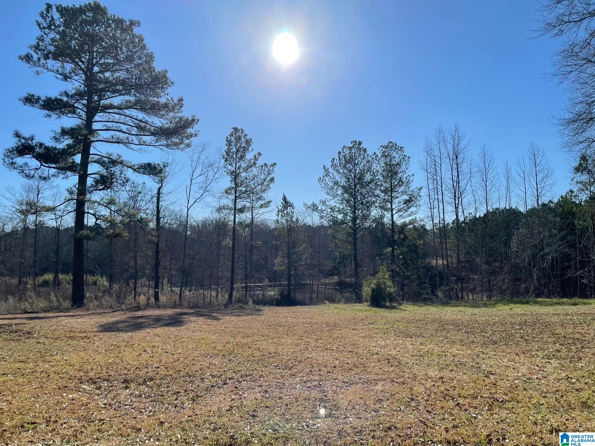 575 Saxon Creek Road Goodwater, AL 35072 - Photo 13 of 15
