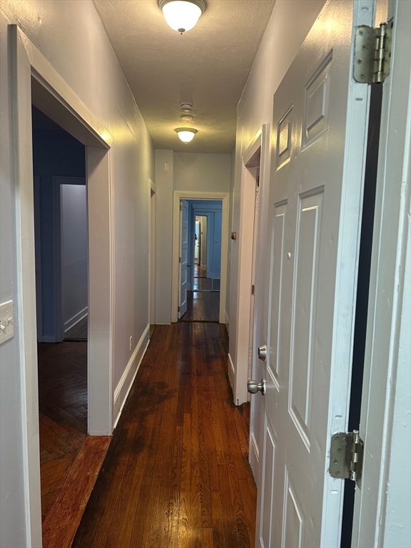 347 Summer Street, Unit 2 Lynn, MA 01905 - Photo 12 of 14 a view of a hallway with wooden floor