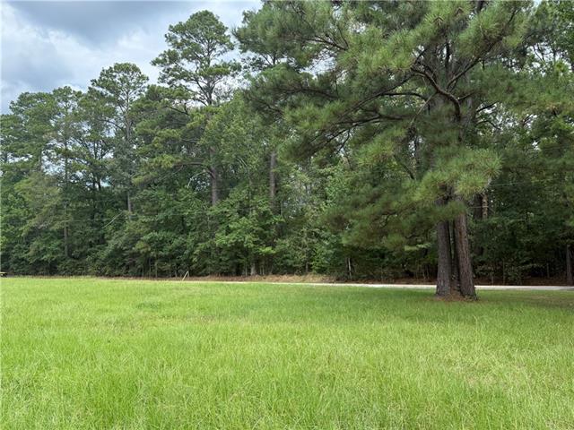 Tbd Smetak Road Deville, LA 71328 - Photo 2 of 10 Gallery Image 2