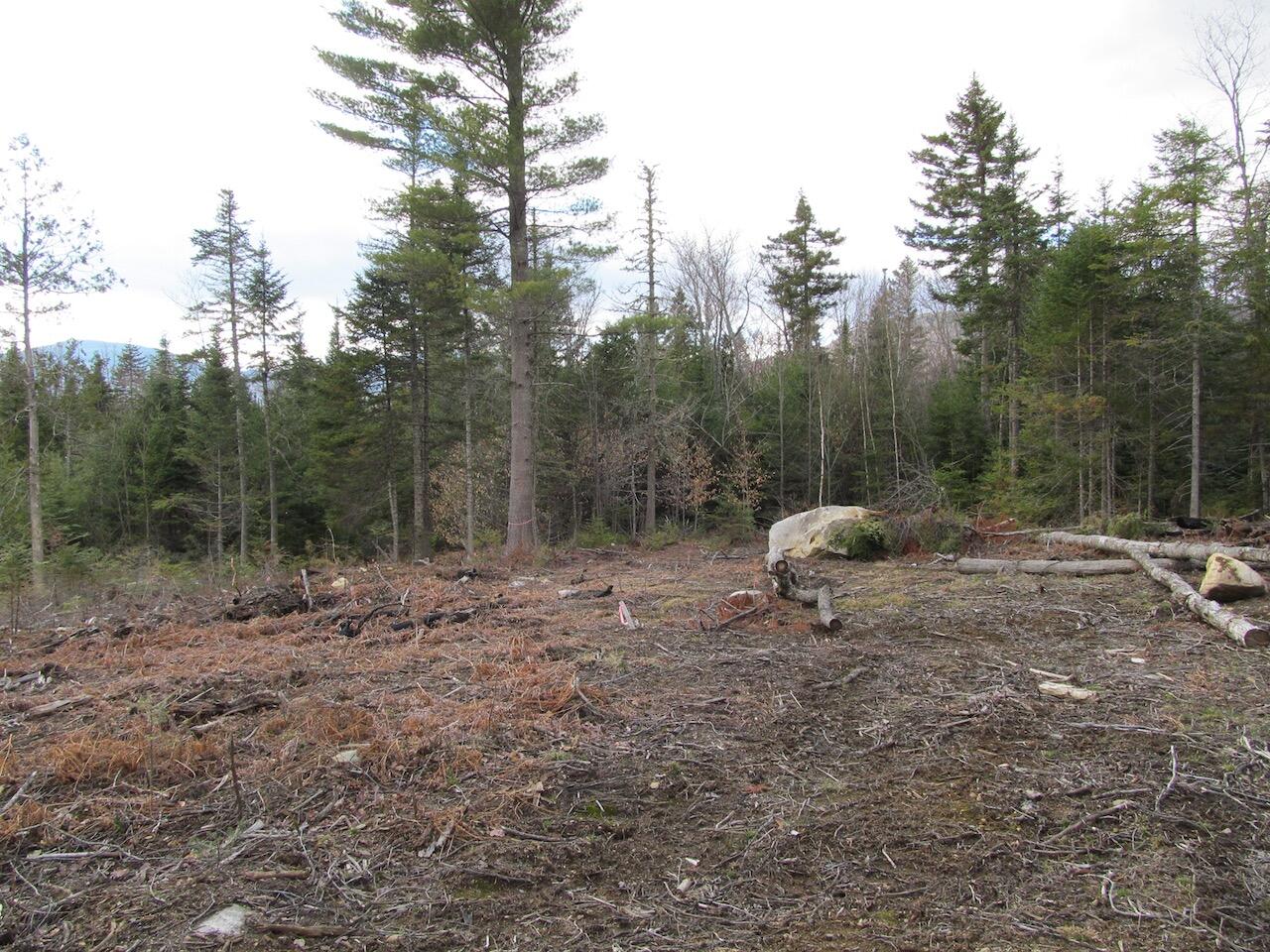 923 Center Hill Road Weld, ME 04285 - Photo 15 of 34