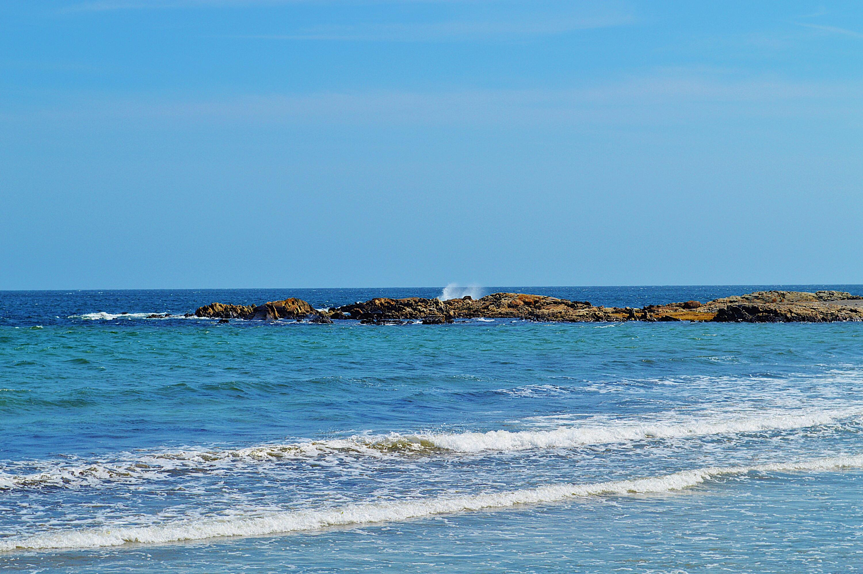 147 Beach Avenue, Unit 42 Kennebunk, ME 04043 - Photo 2 of 42 DSC_0352