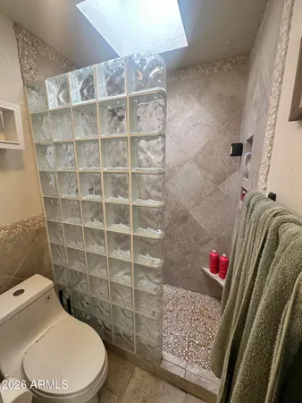 a bathroom with a toilet and a shower