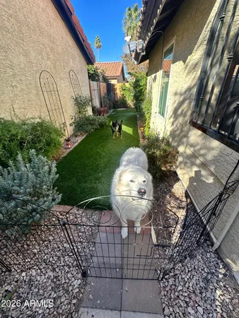 a view of a back yard of the house