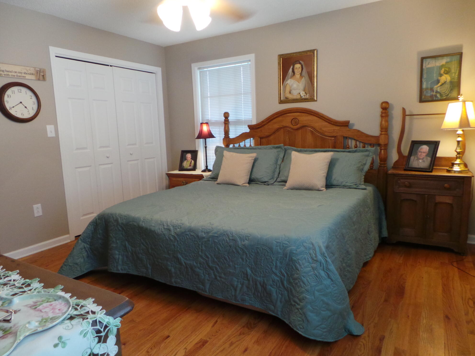169 Laurel View Road Jonesborough, TN 37659 - Photo 128 of 159 Another bedroom on main level