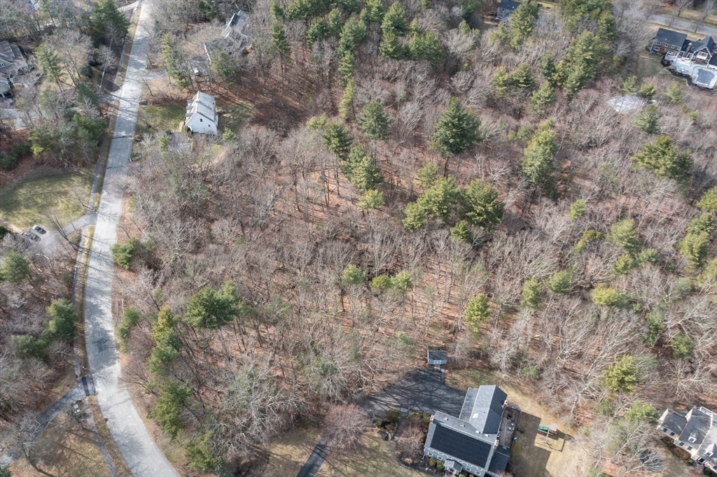 13 Stop River Road Norfolk, MA 02056 - Photo 4 of 13