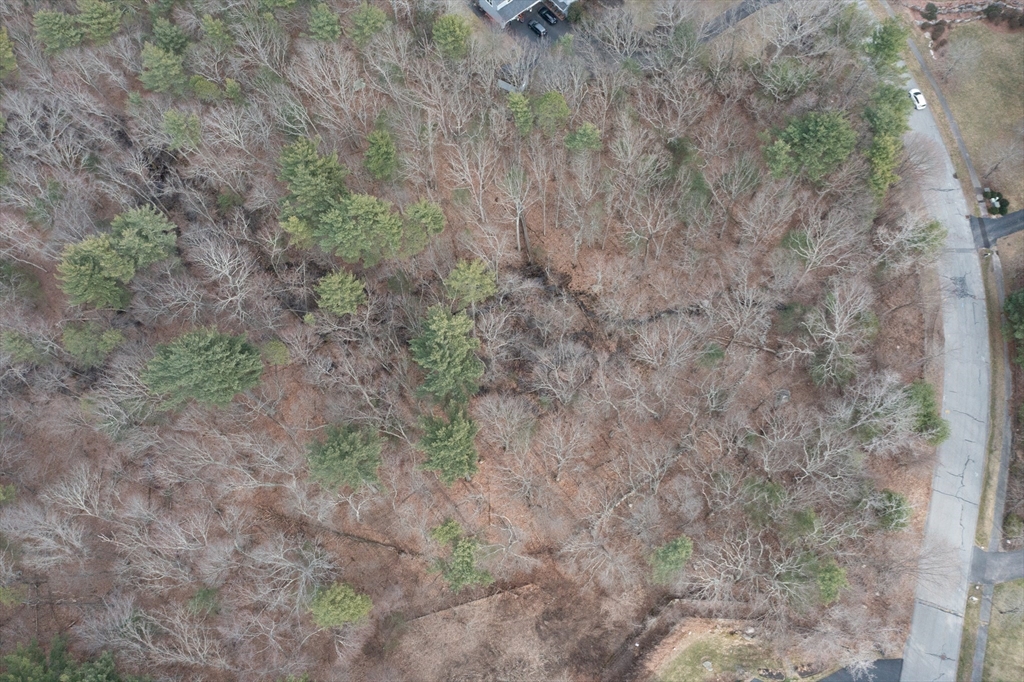 13 Stop River Road Norfolk, MA 02056 - Photo 6 of 13