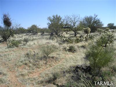 15502 West Pyle Road Tucson, AZ 85736 - Photo 7 of 7 Gallery Image 7
