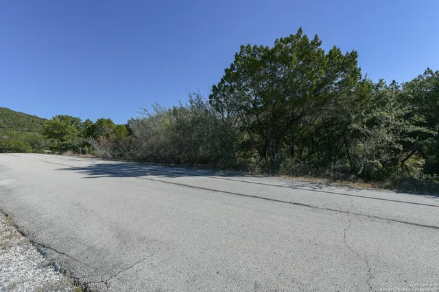a view of a rural road with plants