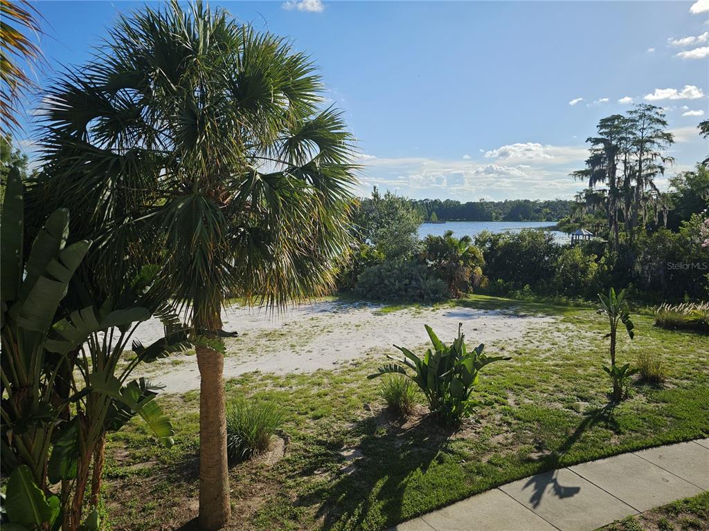 3446 Soho Street, Unit 108 Orlando, FL 32835 - Photo 27 of 39 a view of a yard with a tree