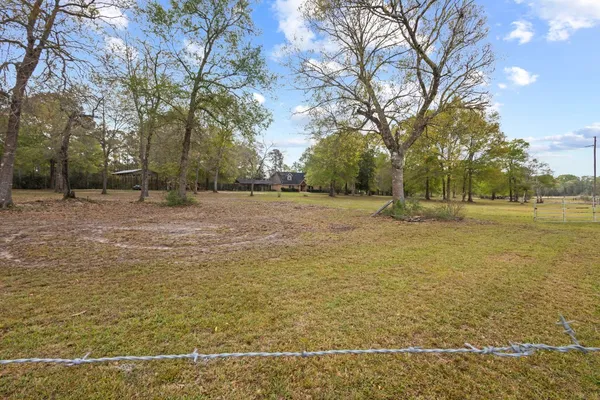 a backyard of water and trees