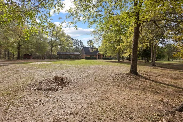a view of a yard with trees