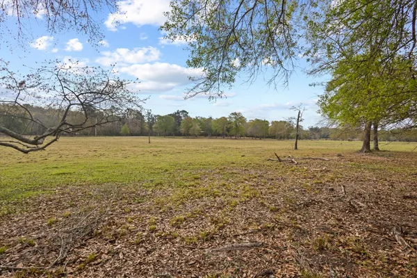 a view of a field with an trees