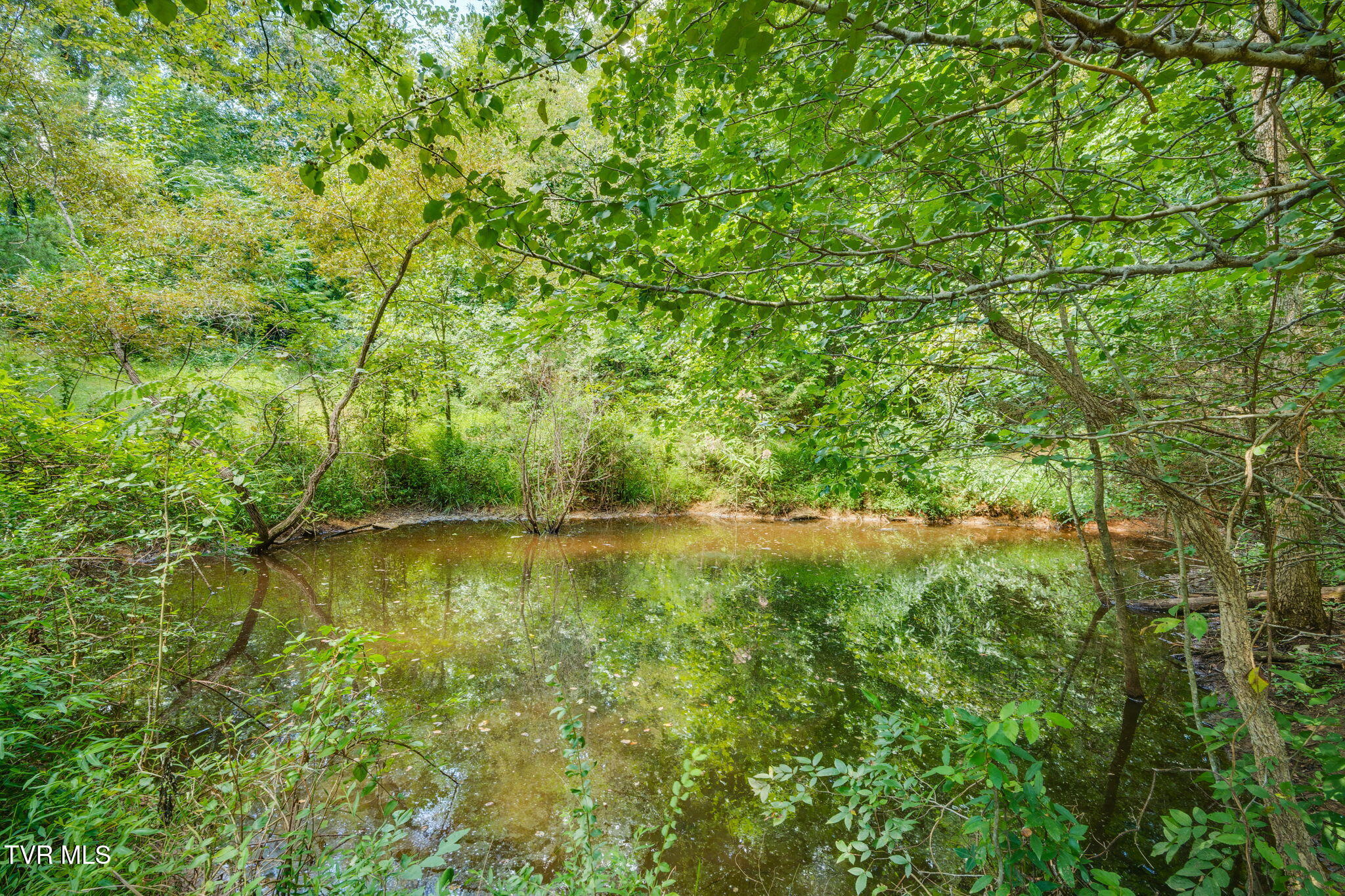 860 Baileyton Road Greeneville, TN 37745 - Photo 39 of 47 040