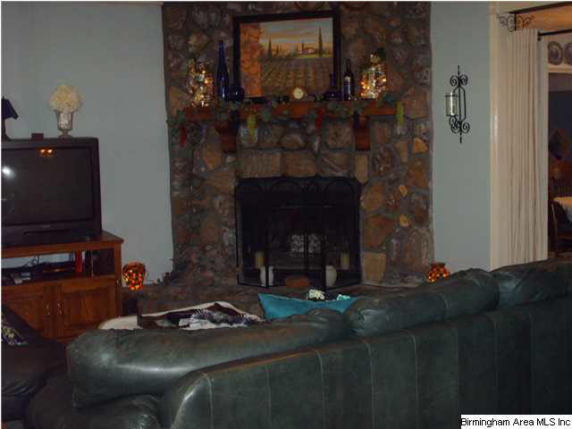 306 Janney Road Ohatchee, AL 36271 - Photo 2 of 31