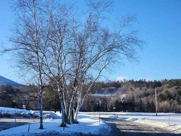 $475,000 | 261 Village Green Drive, Unit 10E, Stowe, VT 05672