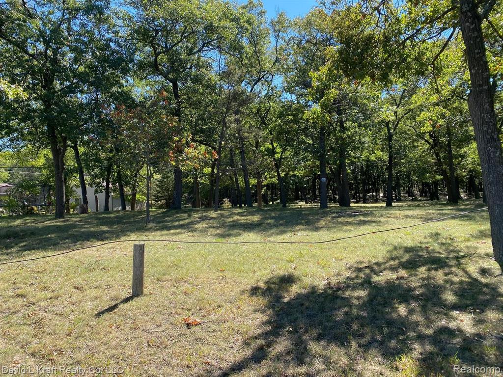 5417 Port Austin Road Caseville, MI 48725 - Photo 3 of 8
