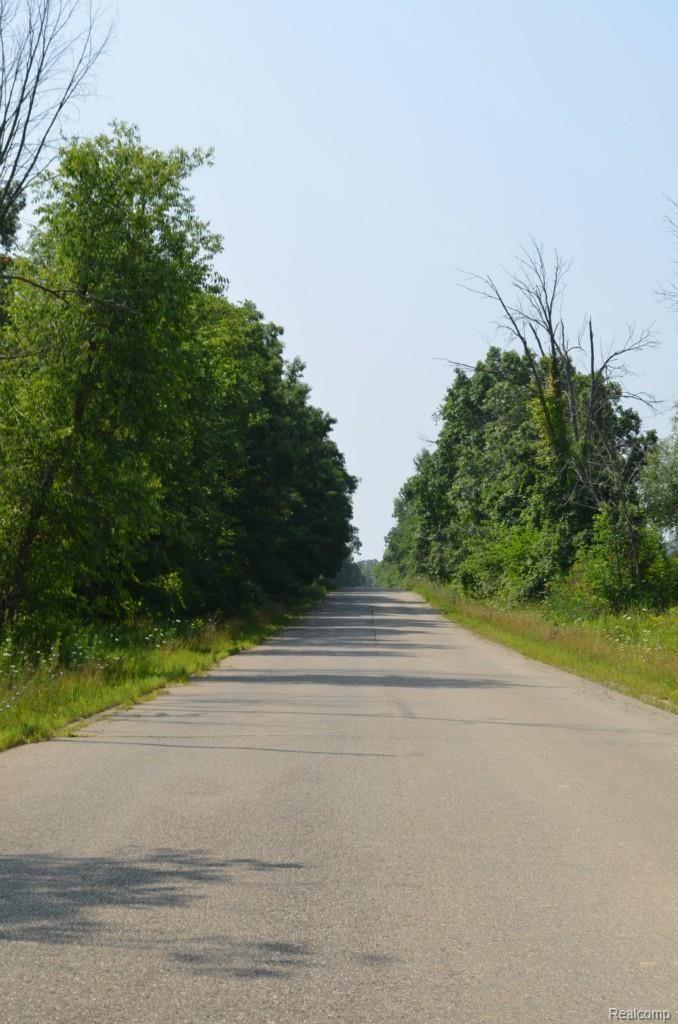 15098 Eddy Lake Road Fenton, MI 48430 - Photo 82 of 84 Beautiful tree lined road