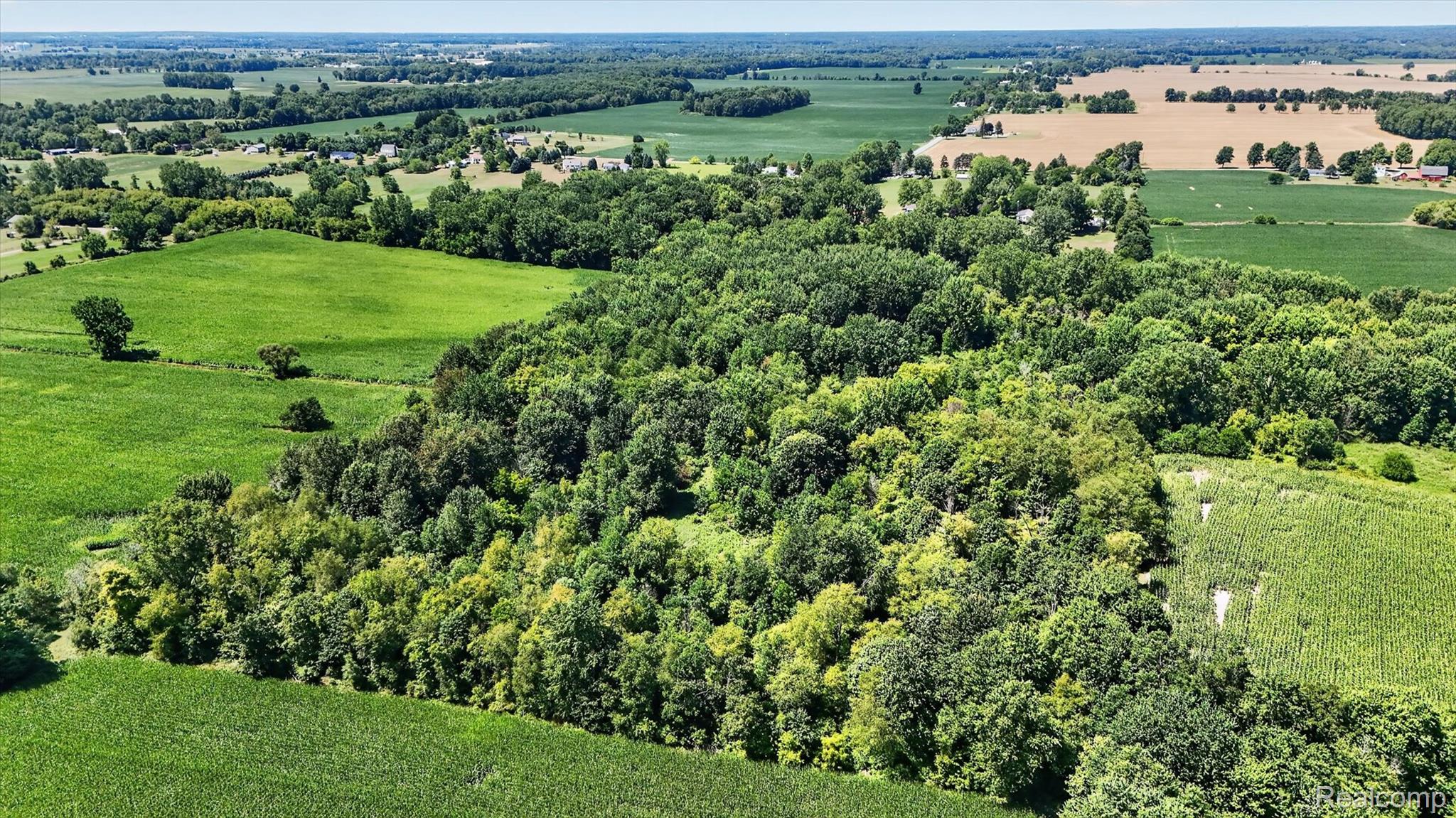 3760 Webberville Road North Williamston, MI 48895 - Photo 68 of 80 Expansive rural property featuring mature tree-lined corridors bisecting fertile agricultural land