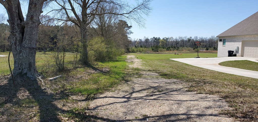 0 Roy Martin Road Dothan, AL 36301 - Photo 2 of 7