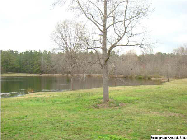 121 Fox Rdg Court Weogufka, AL 35183 - Photo 10 of 20