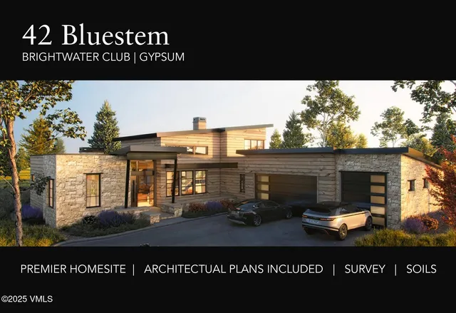 a black and white photo of a park