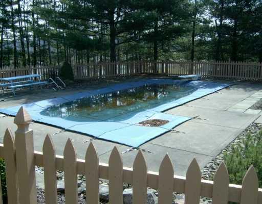 732 Waterdam Road Canonsburg, PA 15317 - Photo 8 of 8 Swimming Pool/Hot Tub/Sauna.