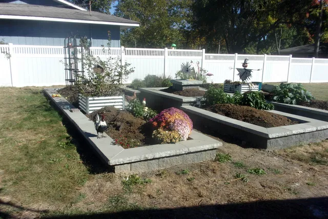 a view of a yard with plants