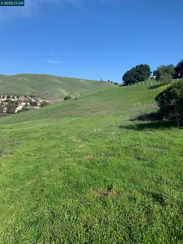 a view of a field with an ocean and trees